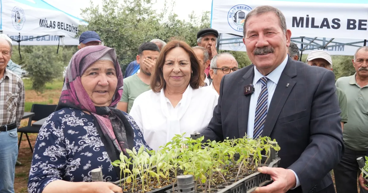 Muğla Milas’ta 300 üreticiye dağıtım gerçekleştirildi
